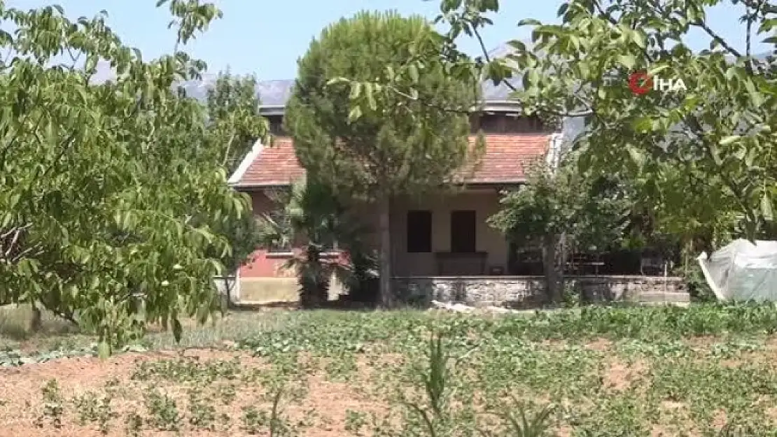 Pınar Gültekin Cinayeti Davasında Bugün, Cemal Metin Avcı'nın Eşi Dinlenecek