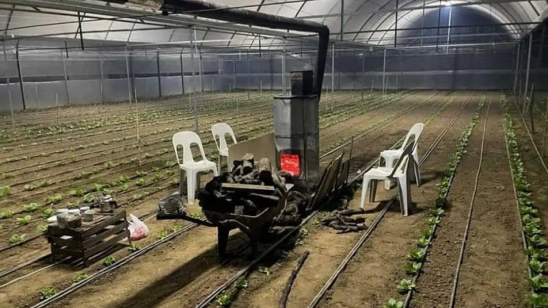 Ula'da Sera Üreticileri Sobalı Don Nöbetinde