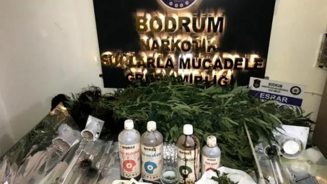 Bodrum'da Baskın Yapılan Ev, Uyuşturucu Tarlası Çıktı