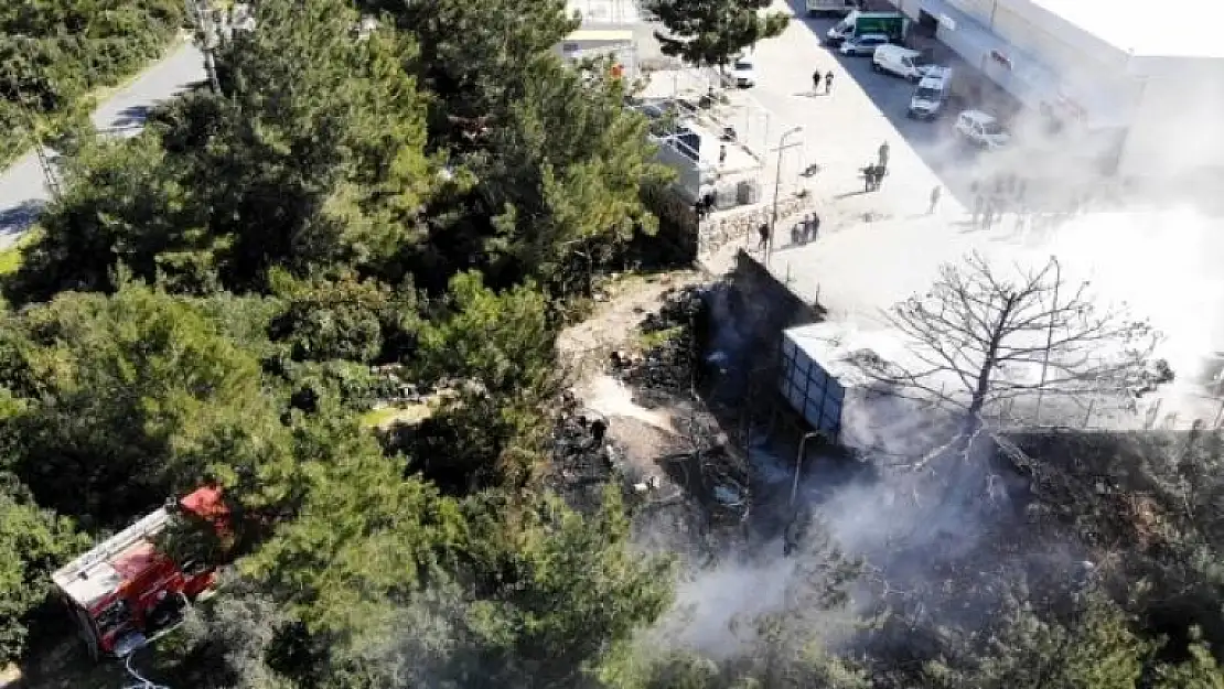 Bodrum'da, Kaynak Yaparken Ormanı Yaktılar!