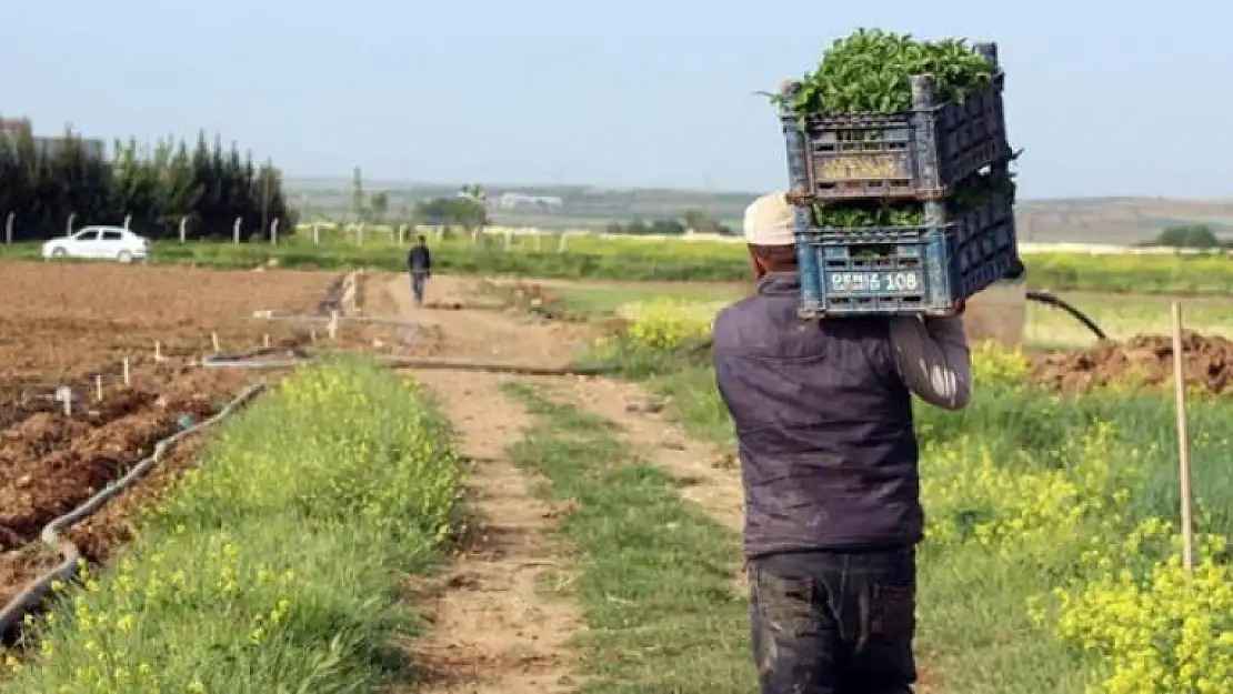 Çiftçinin Dört Gözle Beklediği Borç Yapılandırması Yolda