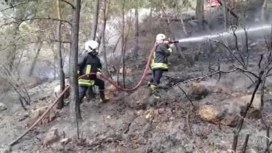 Fethiye'de Çıkan Orman Yangınında 2 Dönüm Alan Zarar Gördü