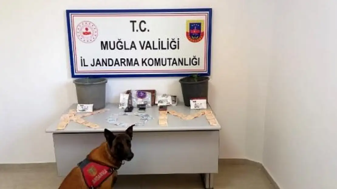 Köyceğiz'de Uyuşturucu Operasyonu