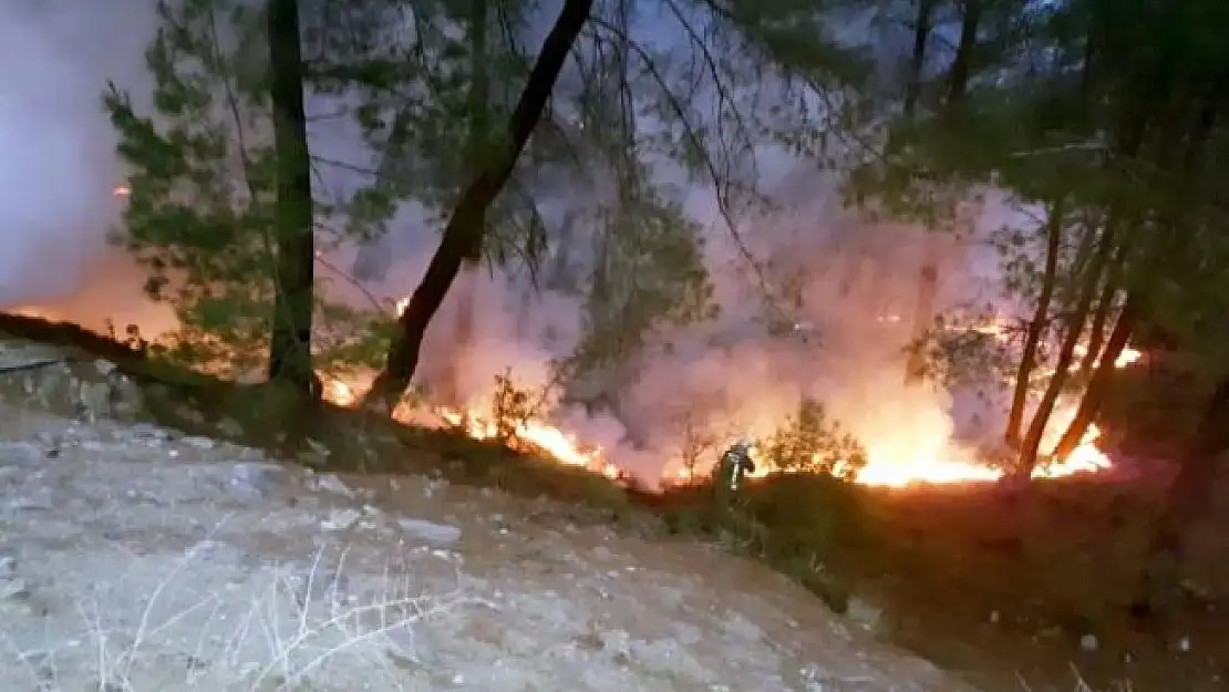 Muğla'da Yılın İlk Orman Yangını Seydikemer'de Çıktı