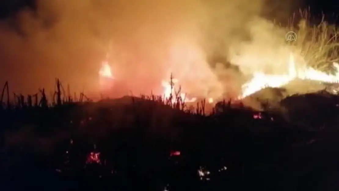 Fethiye'de Sazlık Alanda Çıkan Yangın Söndürüldü