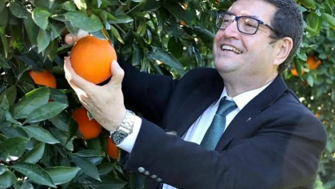 Köyceğiz Portakalının Farklılıkları Raporlandı