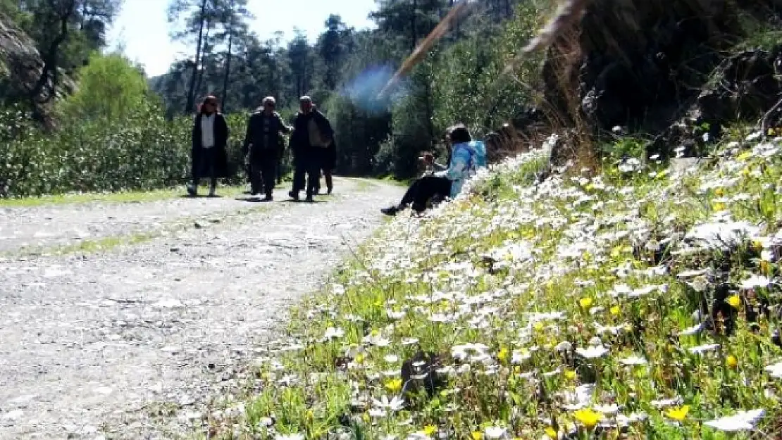 Muğla'nın Akciğerlerine Ziyaretçi Akını