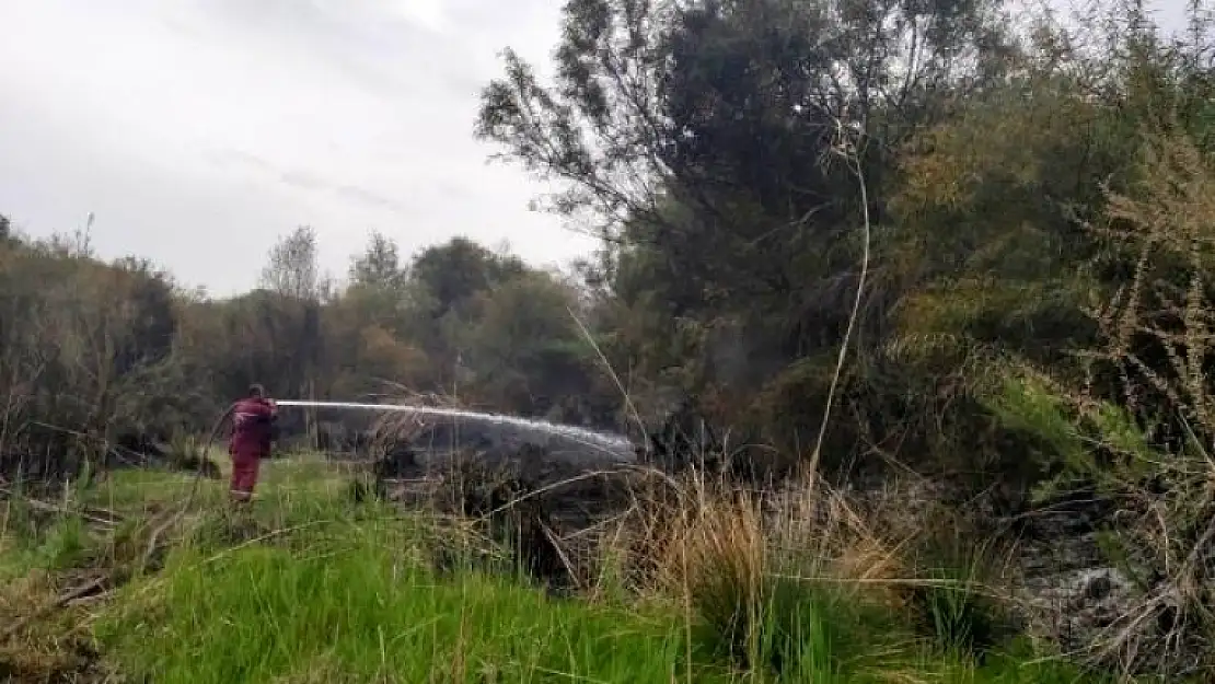 Seydikemer'de Çıkan Yangında 2 Dönüm Alan Zarar Gördü