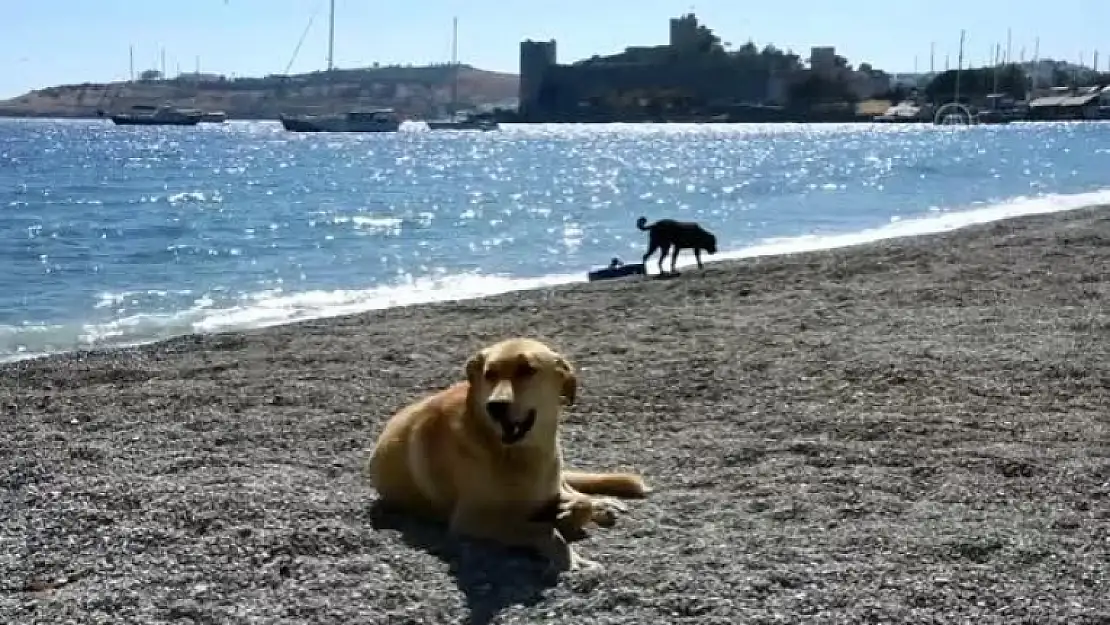 Muğla'da Bayramda da 'Tam Kapanma' Sessizliği Sürüyor