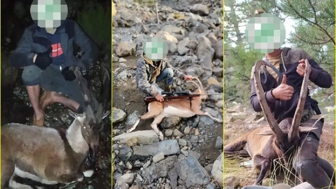Muğla'dan Denizliye Giderek Kaçak Dağ Keçisi Avlayan 6 Kişiye 166 Bin 662 Lira Ceza