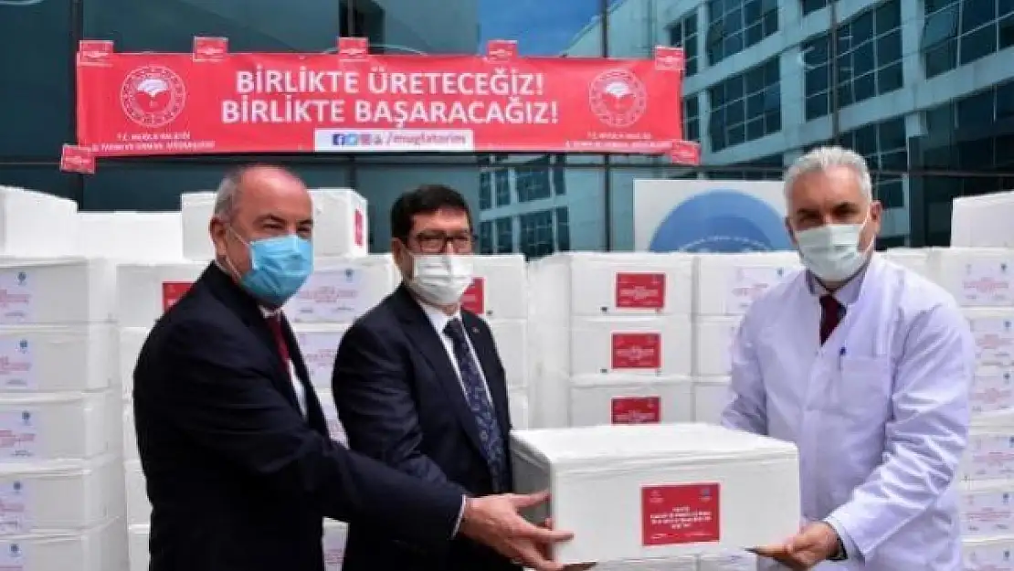 'Siz Bizim Her Şeyimizsiniz' Sloganıyla Muğla'da Sağlıkçılara 20 Ton Balık Dağıtıldı