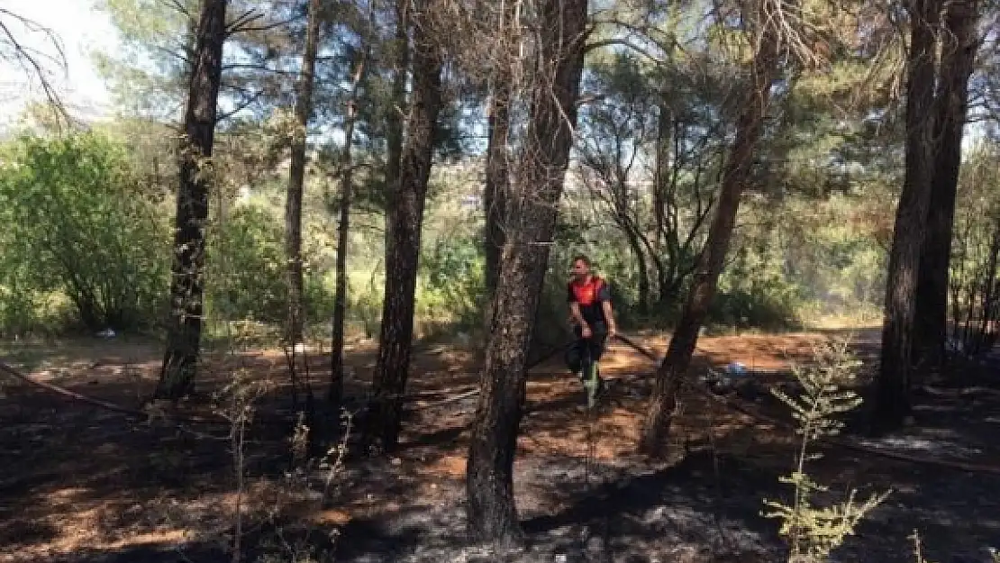 Yatağan'da Çıkan Yangında Zeytin ve Kızılçam Ağaçları Zarar Gördü