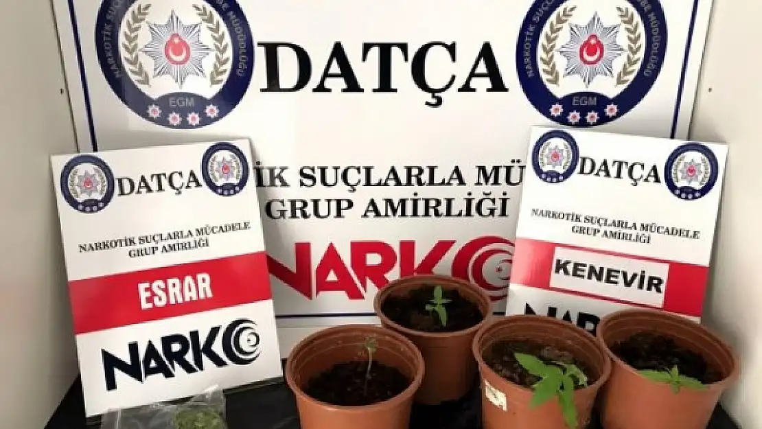 Datça'da Uyuşturucu Baskını Düzenlendi