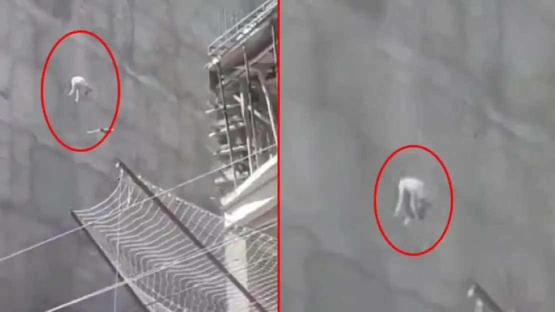 Şanlıurfa'da Acı İçinde Havlayan Köpeği 7'nci Kattan Aşağı Attılar