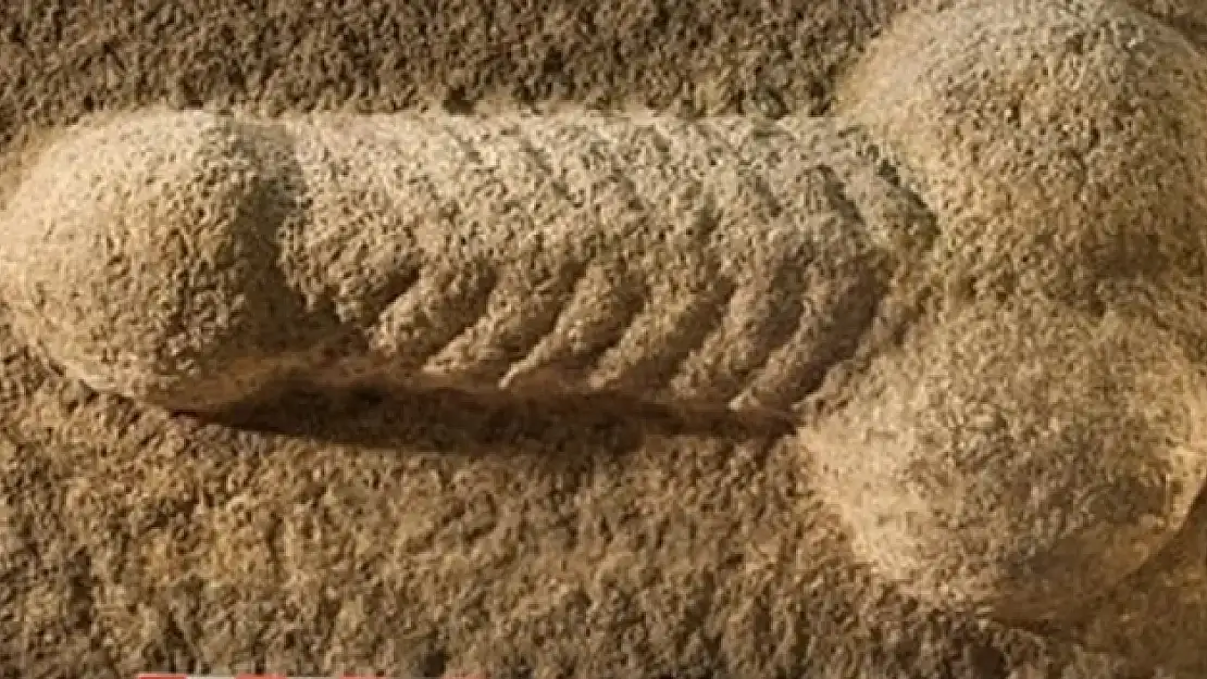 2 Bin Yıllık Taş Oyması Penis Bulundu