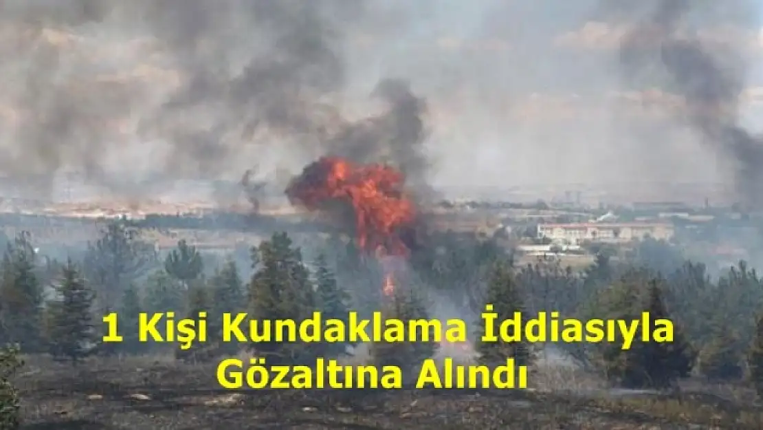 Ankara'da Atatürk Orman Çiftliği'nde Korkutan Yangın!
