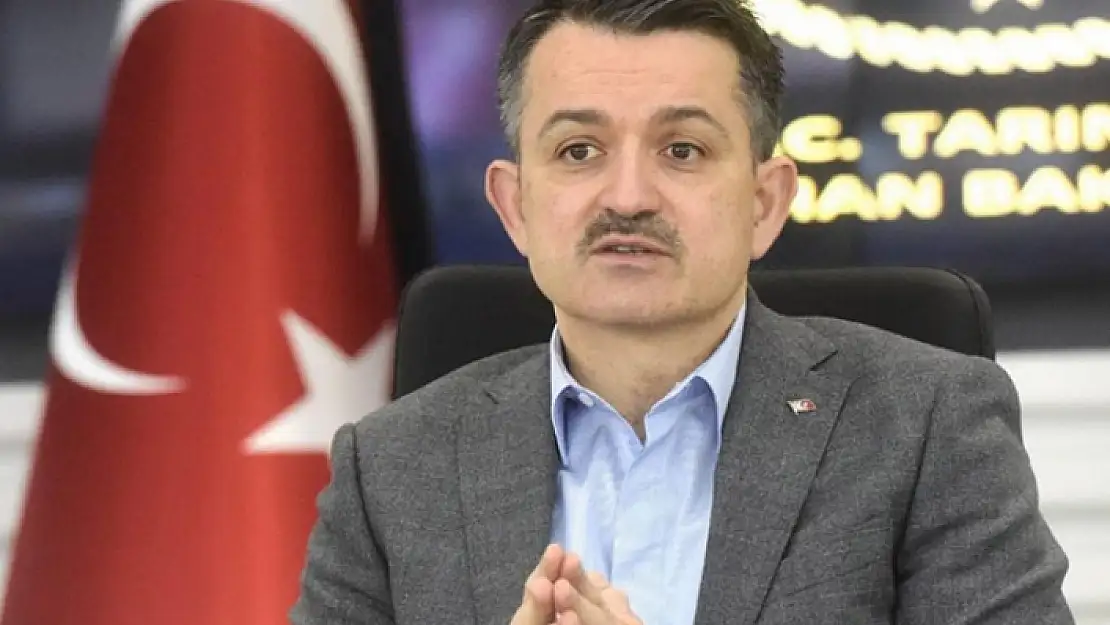 Bakan Pakdemirli'den  Orman Yangınlarına İlişkin Son Bilgiler