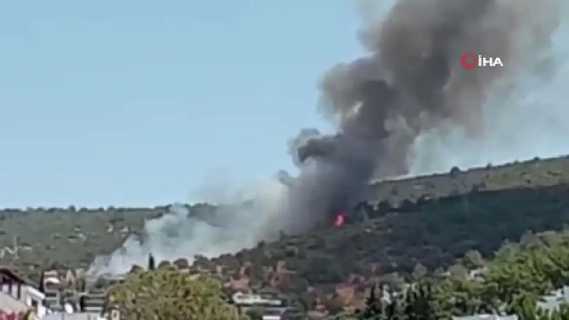 Bodrum'da Yangın Başladı