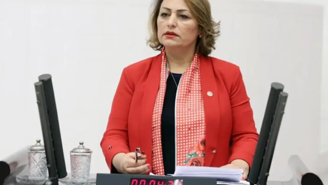 CHP'li Şevkin: Türkiye'nin Enerji Güvenliği Tehlikede!