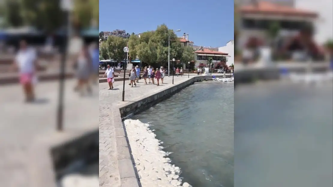 Datça Sahilinde Endişelendiren Görüntü