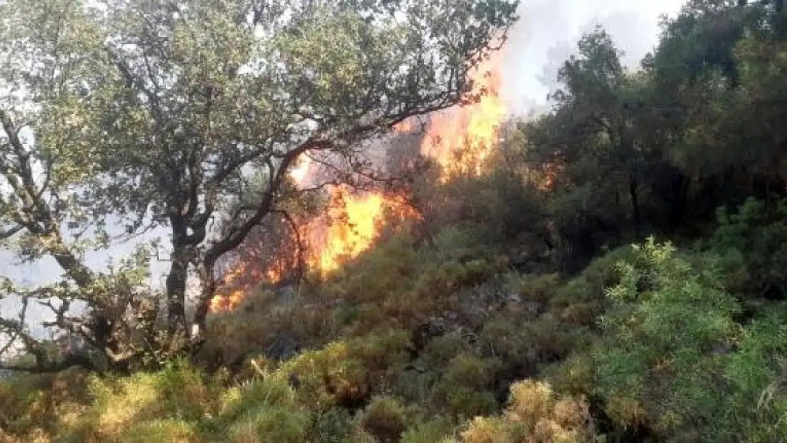 Fethiye'de Çıkan Yangında 5 Dönüm Ormanlık Alan Zarar Gördü