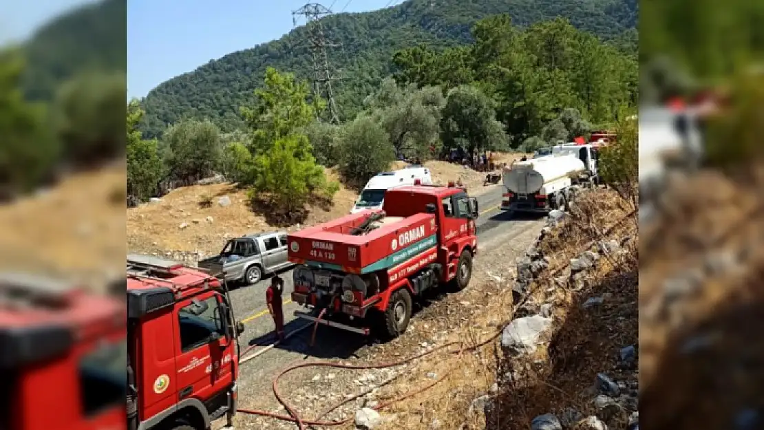 Köyceğiz'deki Yangın Çabuk Fark Edildi, Hemen Söndürüldü