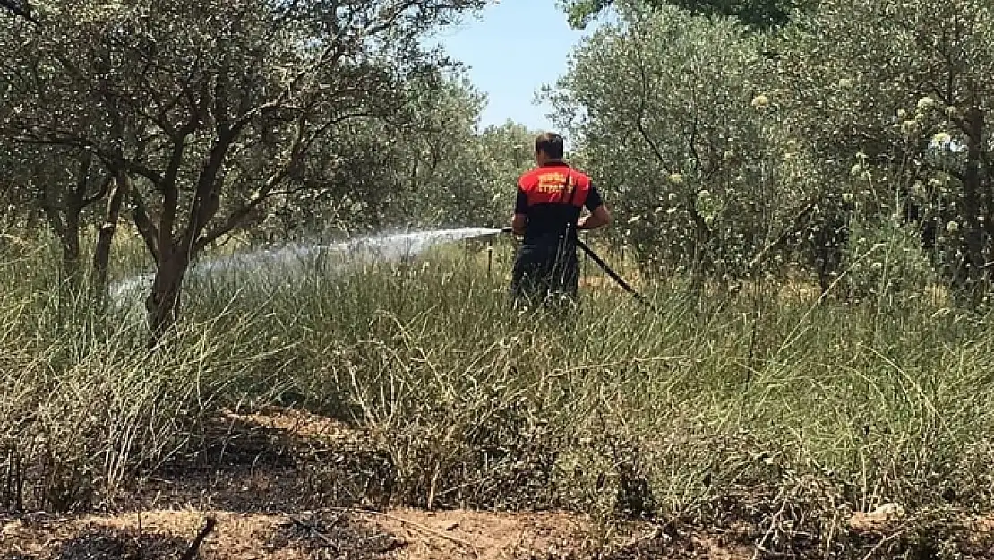 Menteşe'deki Sece Yaylasında Yangın!
