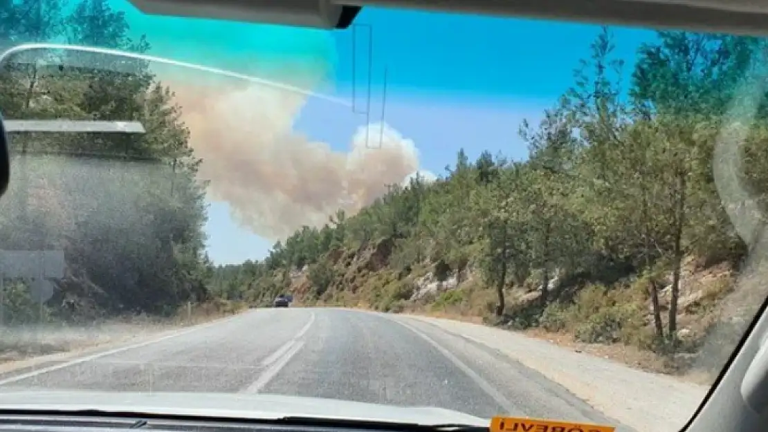 Milas'ta Çıkan Orman Yangınına Müdahale Ediliyor