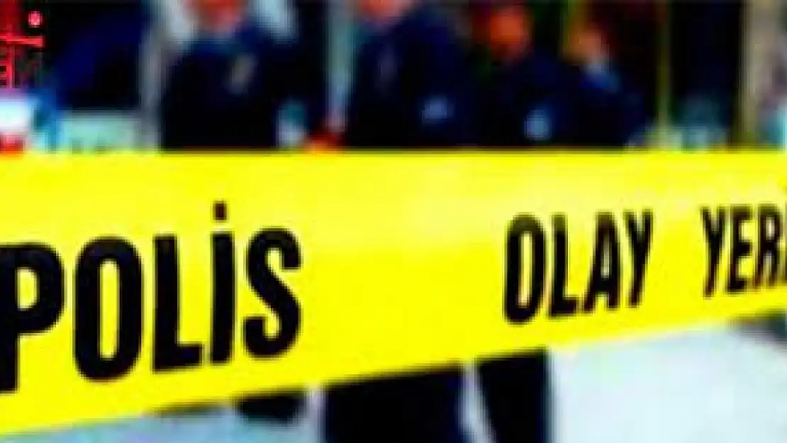 Milas'ta Kamyonet Kontrolden Çıktı: 1 Ölü!