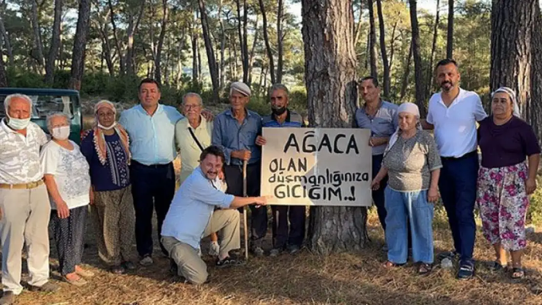 Milas'taki Akbelen Ormanı'nda Çevre Mücadelesinin 5. Günü!