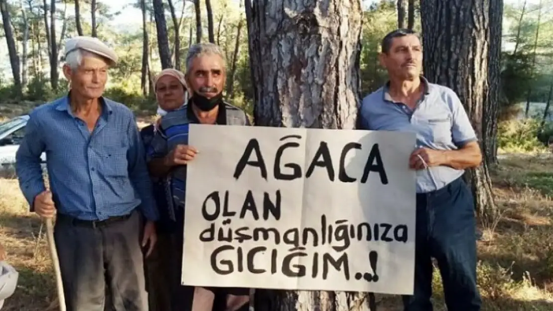 Milas'taki Köylülerin Akbelen Ormanı Talepleri Kabul Edildi