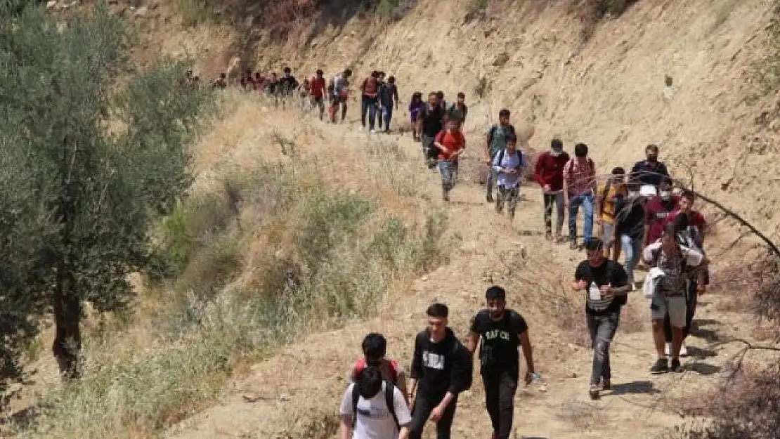 Seydikemer'de, Ormanlık Alanda 74 Düzensiz Göçmen Yakalandı