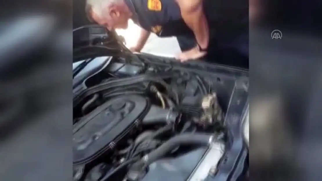 Yatağan'daki Otomobilin Motoruna Giren Yılan Çıkarıldı