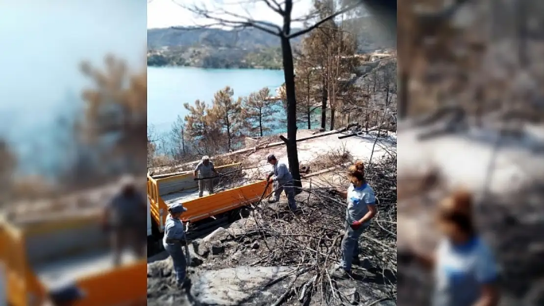 Bodrum'da Yangın Sonrası Tehlike Oluşturan Ağaçlara Müdahale Edildi