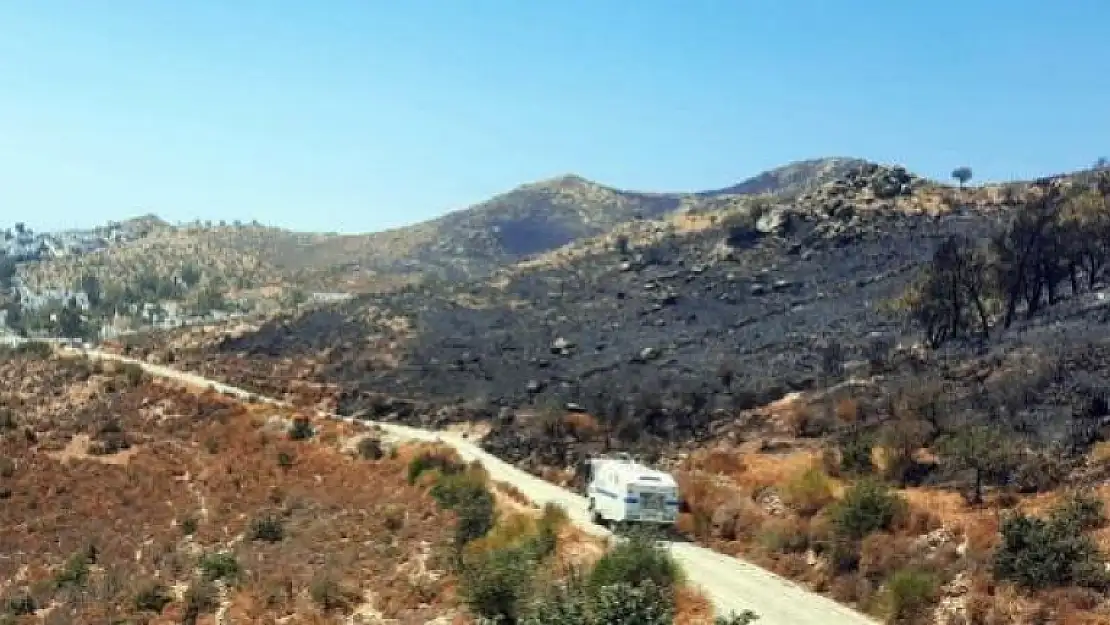 Bodrum'daki Yangında 20 Hektar Alan Yandı