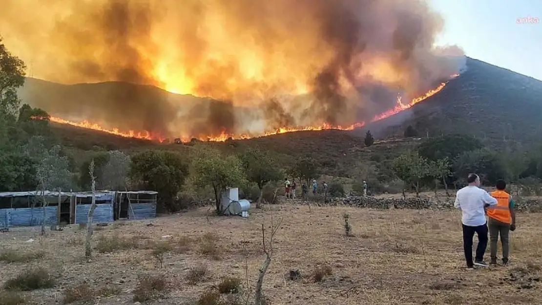 Bodrum Gümüşlük'teki Yangın Söndürülemedi: Evler Boşaltılıyor