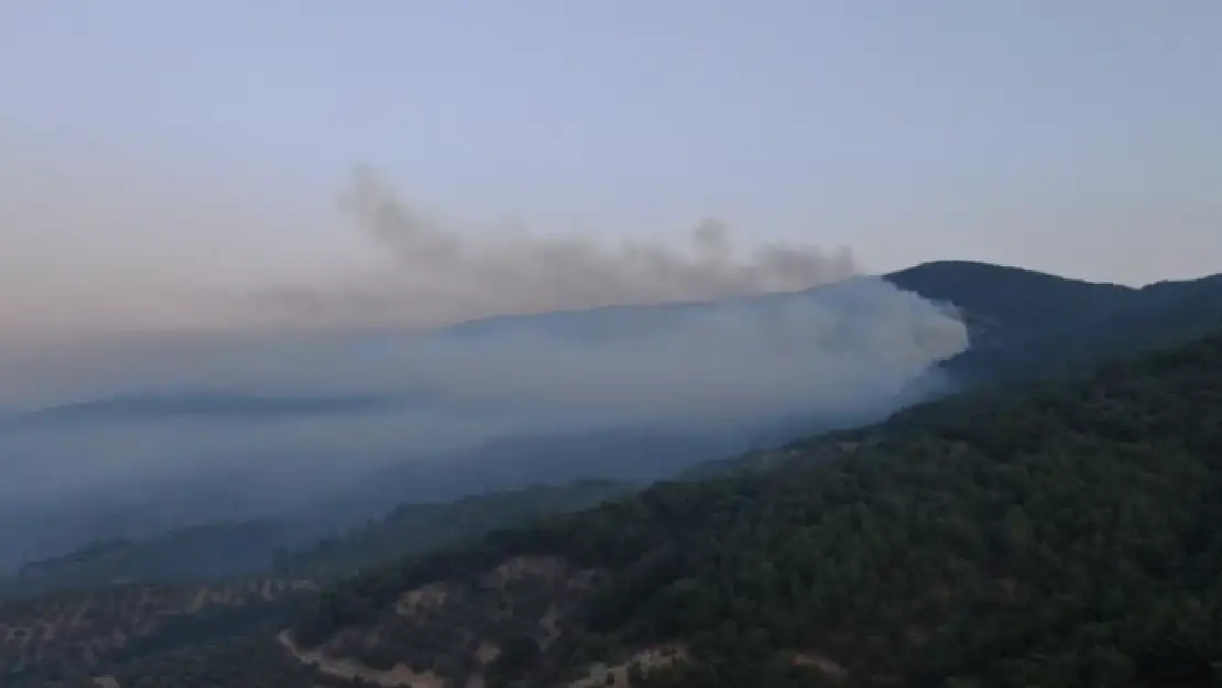 Kazdağları'nda Alevlerle Mücadele Devam Ediyor!
