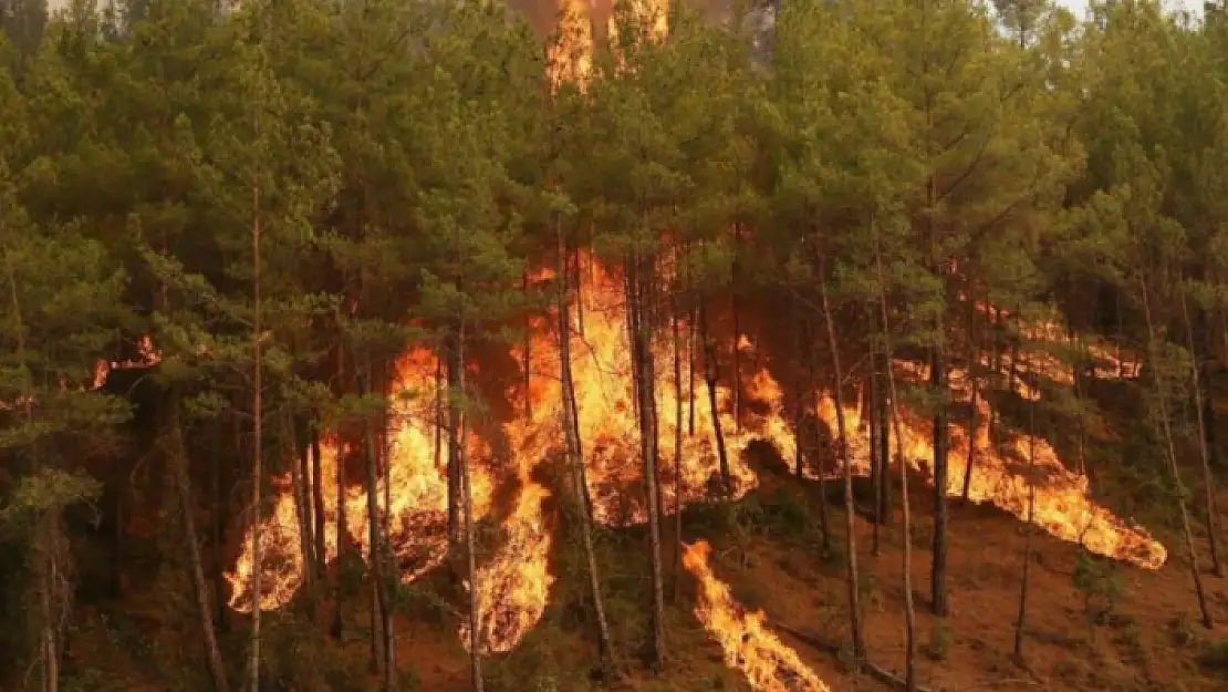 Manavgat'tan Acı Haber!