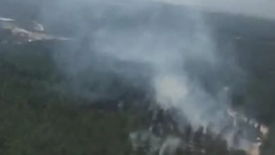Manisa'da Orman Yangını!