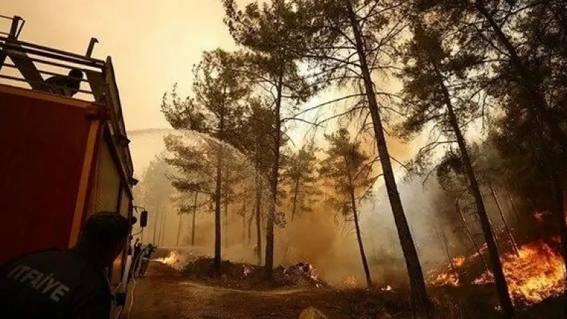 Marmaris'te Alevlere Müdahale Eden Orman İşçileri Kaza Yaptı: 4 Yaralı