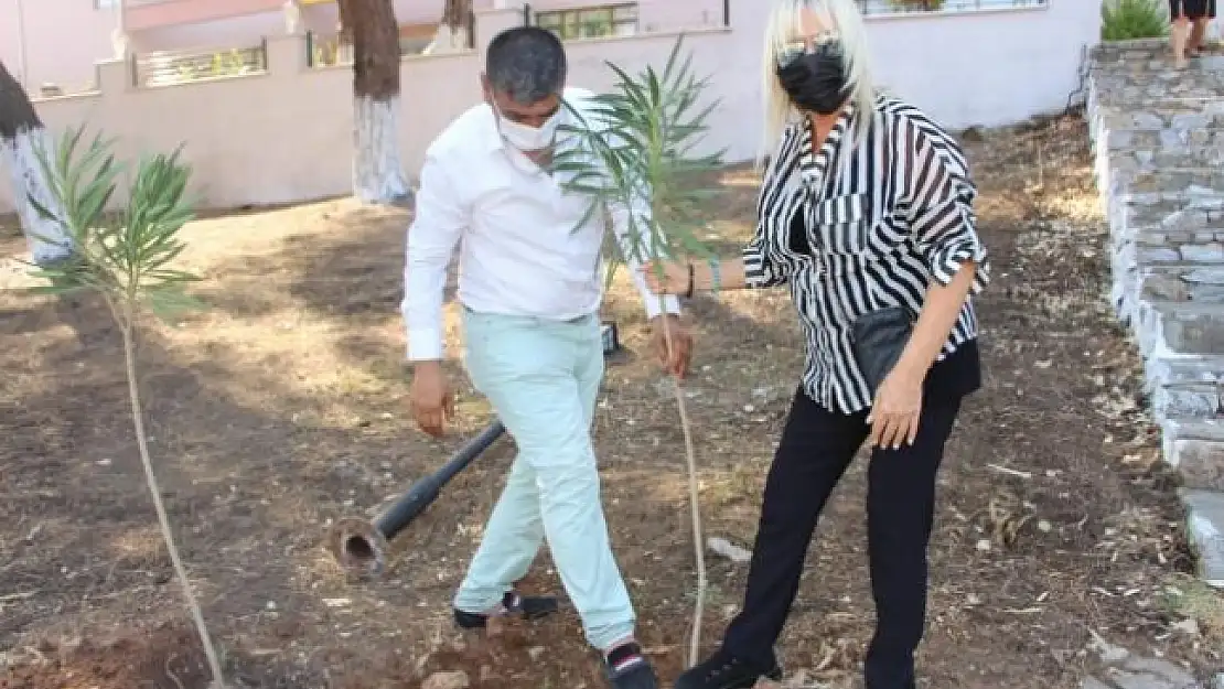 Marmaris'te Yangından Zarar Gören Okulun Bahçesine Fidan Dikildi