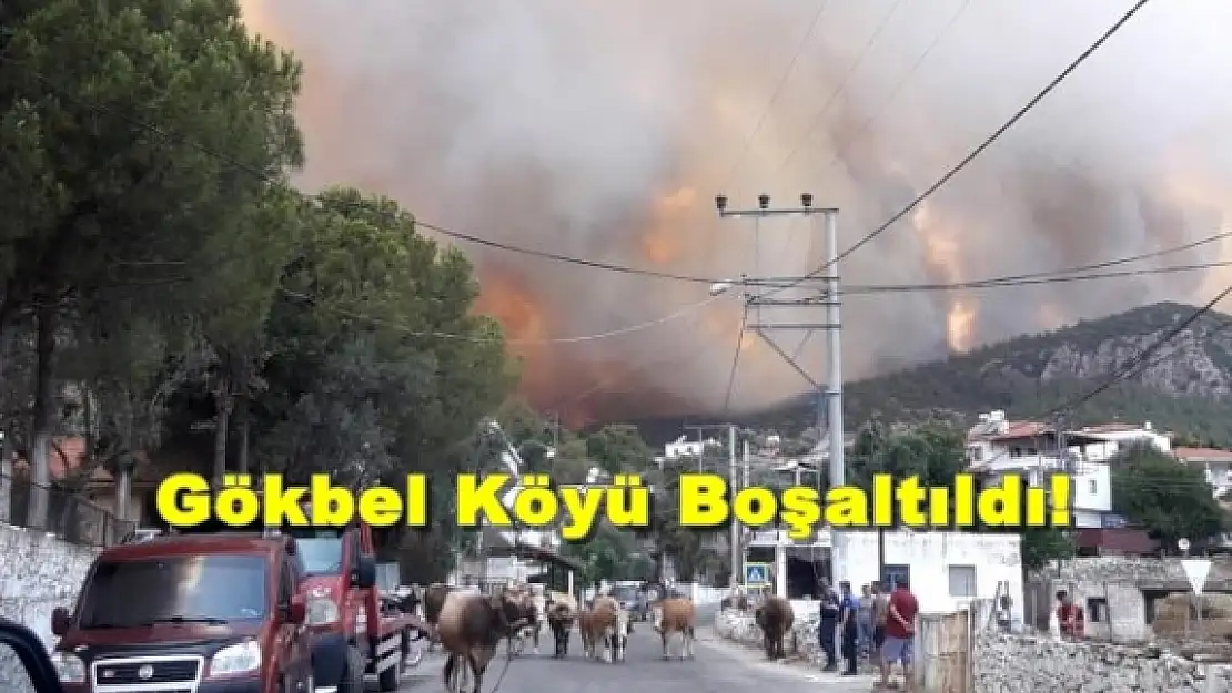 Milas'ta Başlayan Yangın Bodrum'a Sıçrayan Yangın Yerleşim Yerlerine Ulaştı!
