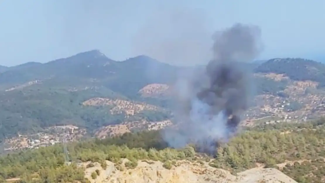 Milas'ta Orman Yangını!