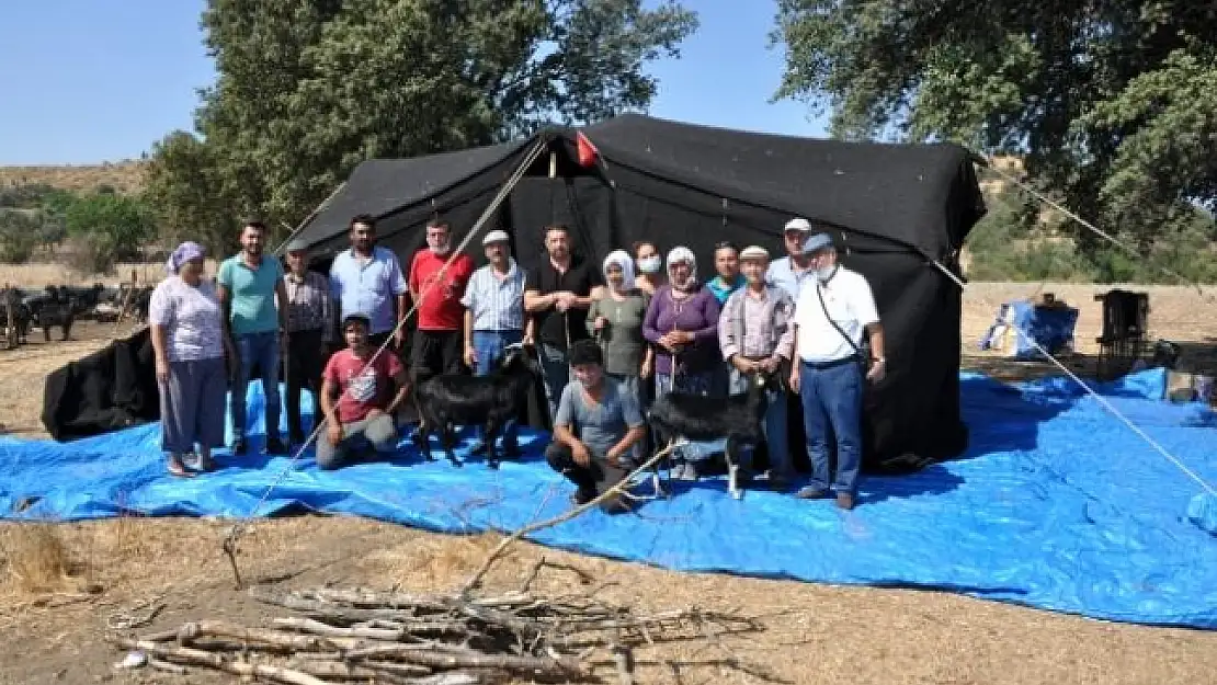 Milas'ta Yanan Çadırın Yenisi Elbirliğiyle Kuruldu
