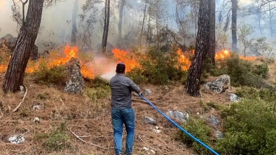 Muğla Seydikemer Yangını Yeniden Başladı