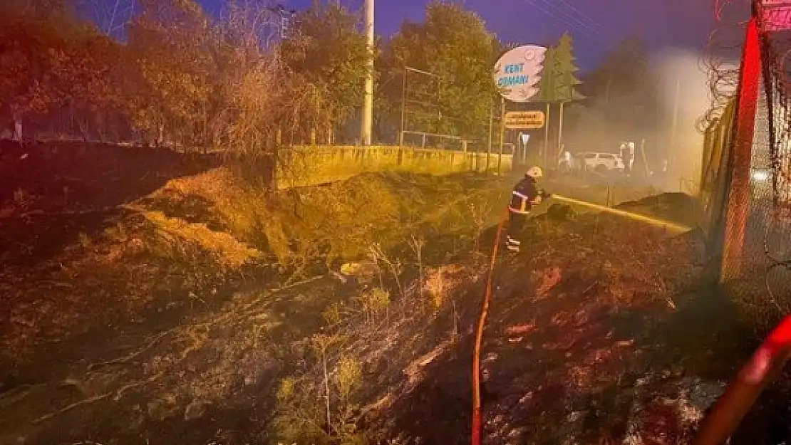 Ormanı Yakmaya Çalışırken Suçüstü Yakalandılar!