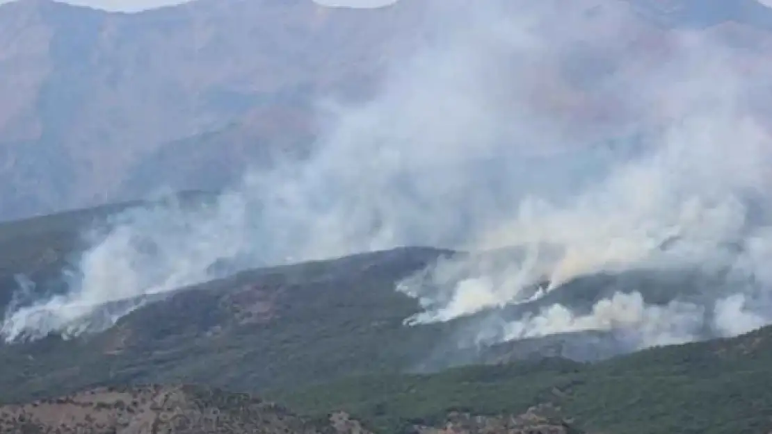 Tunceli'de Orman Yangını Devam Ediyor!