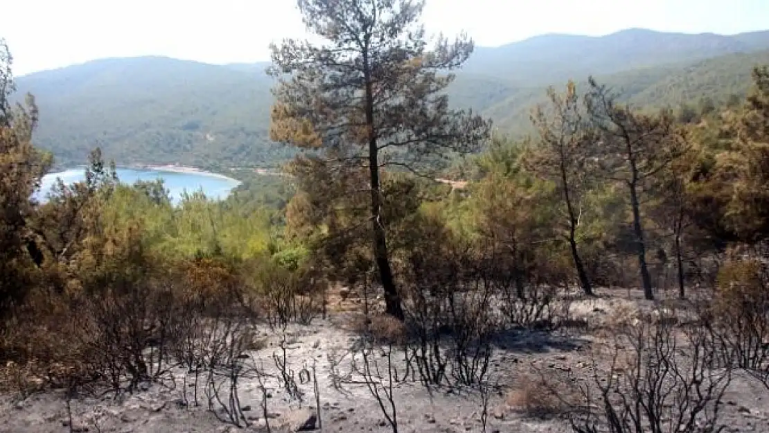 Yangın Bodrum'da Kontrol Altına Alındı