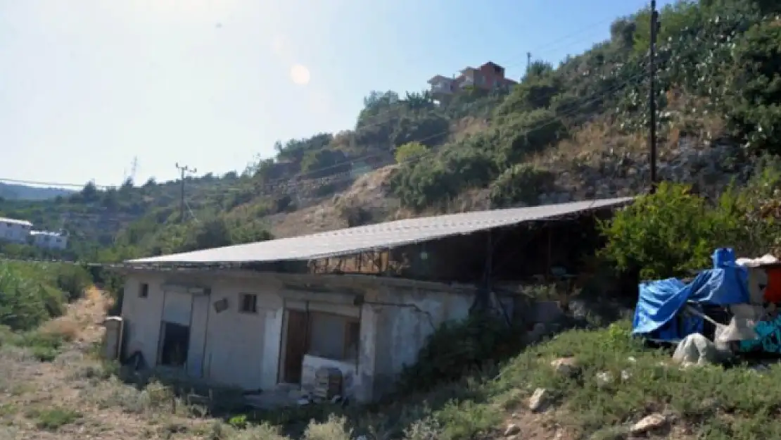 Yüksek Elektrik Faturalarına Çözüm: 10 Bin TL Kar Ettiler