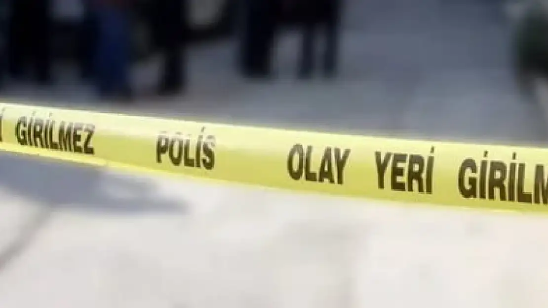 Aydın'da Kamyonet Bariyere Çarptı: 2 Yaralı